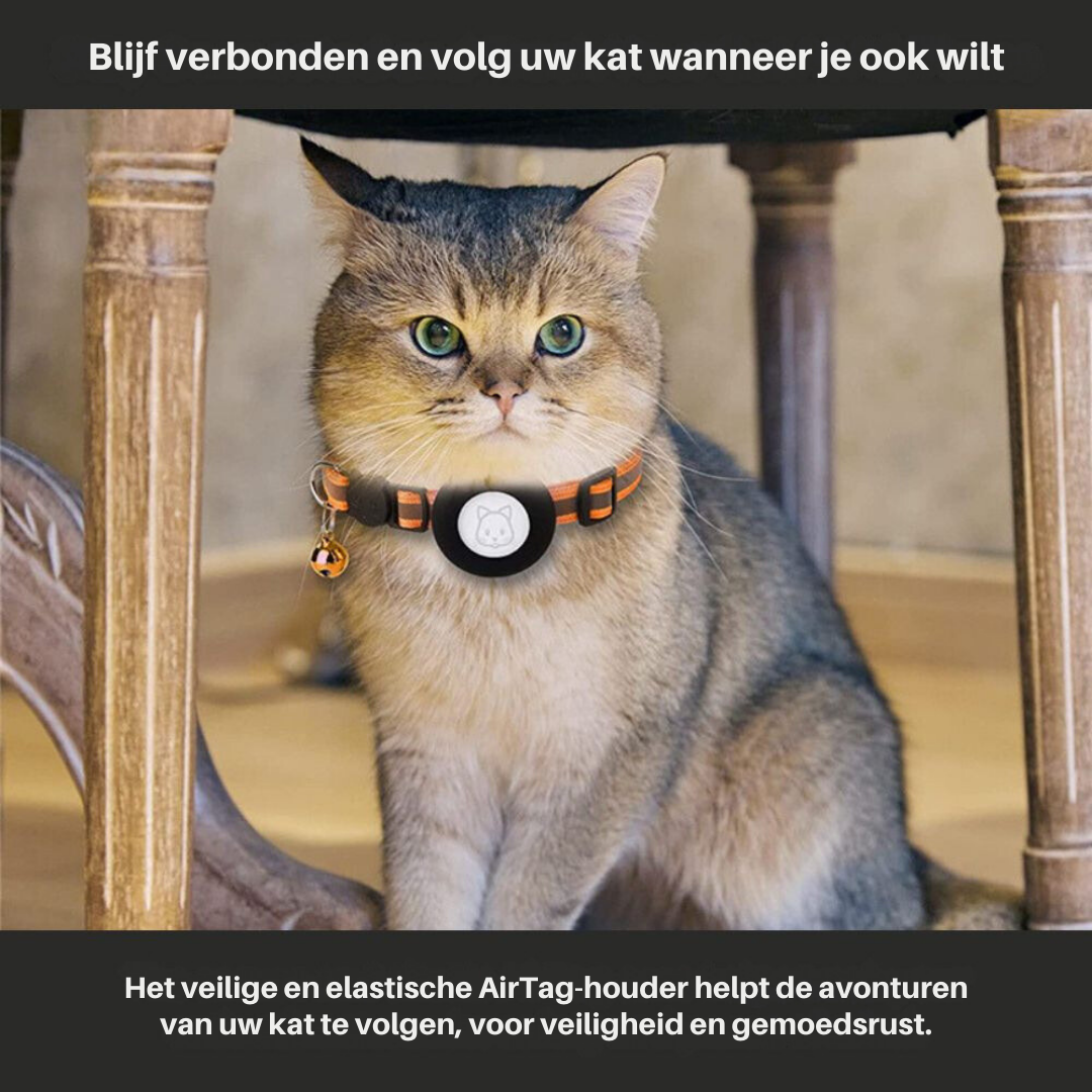Kattenhalsband Met GPS En Reflecterend Ontwerp Voor Veiligheid En Stijl 2