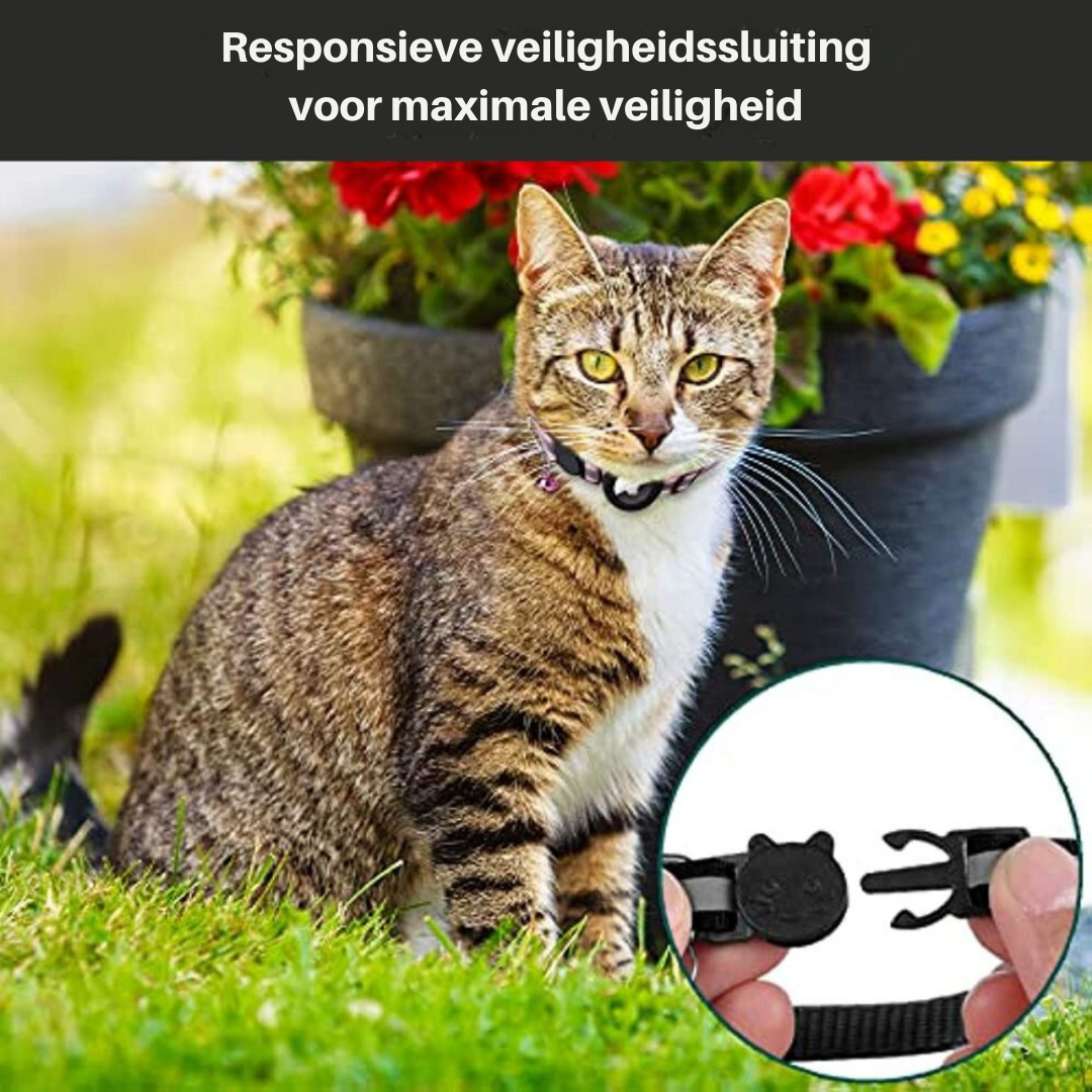 Kattenhalsband Met GPS En Reflecterend Ontwerp Voor Veiligheid En Stijl 4
