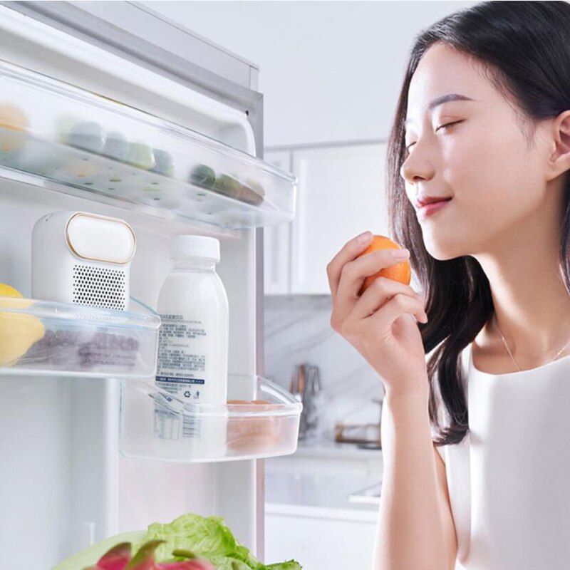 Koelkast Magnetische Luchtreiniger