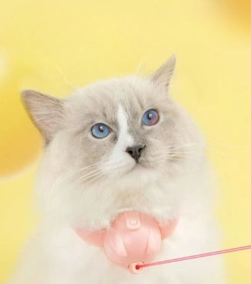 Laser Tease Kattenhalsband