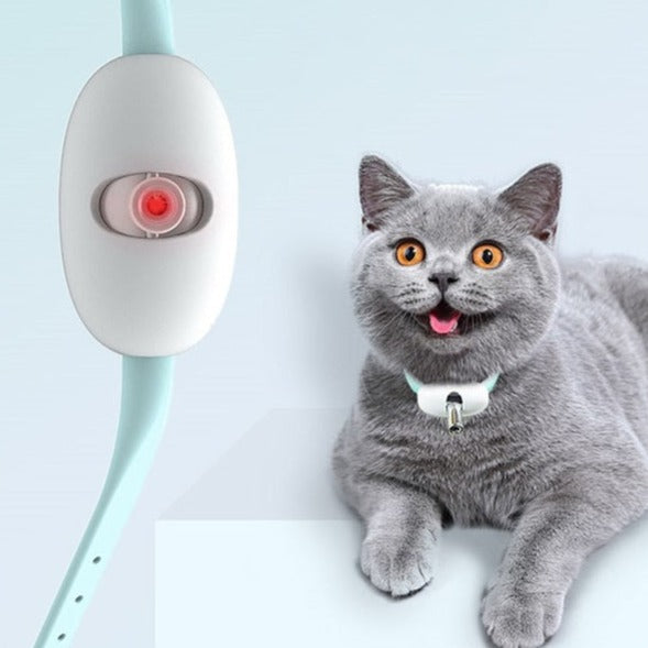 Laser Tease Kattenhalsband