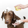 Zachte siliconen badborstel voor huisdieren