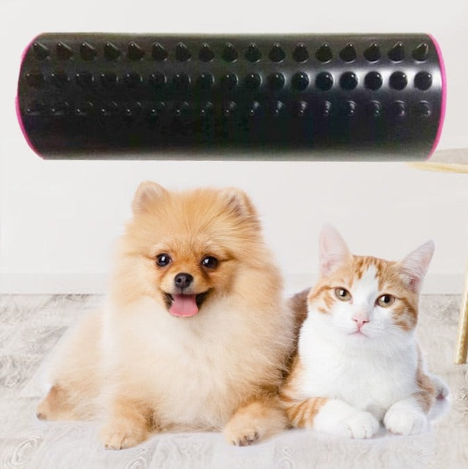 Dubbelzijdige Pet Hair Kam