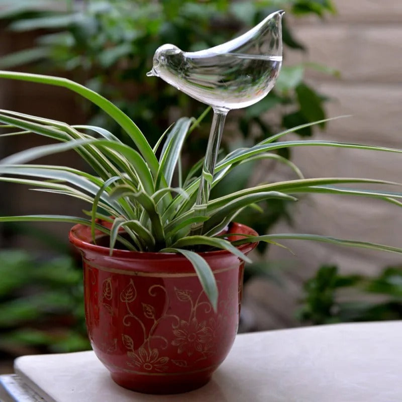 Kamerplant Automatisch Zelf Water Gevend Glas