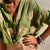 Dames Blouse Flatterende Pasvorm Katoenmix Casual Elegante Stijl 4