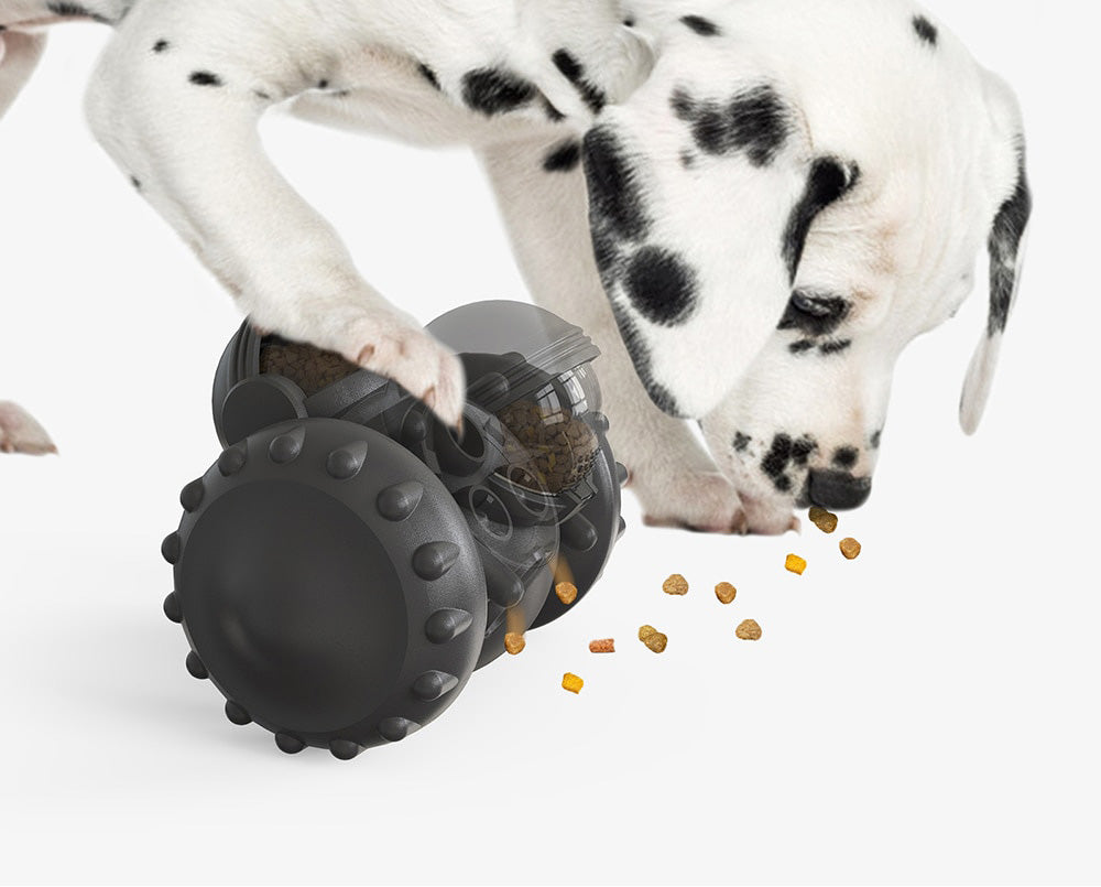 Interactieve Hondenvoerbak