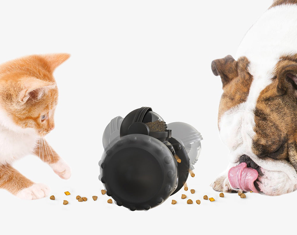 Interactieve Hondenvoerbak