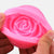 Rose Silicone Vorm
