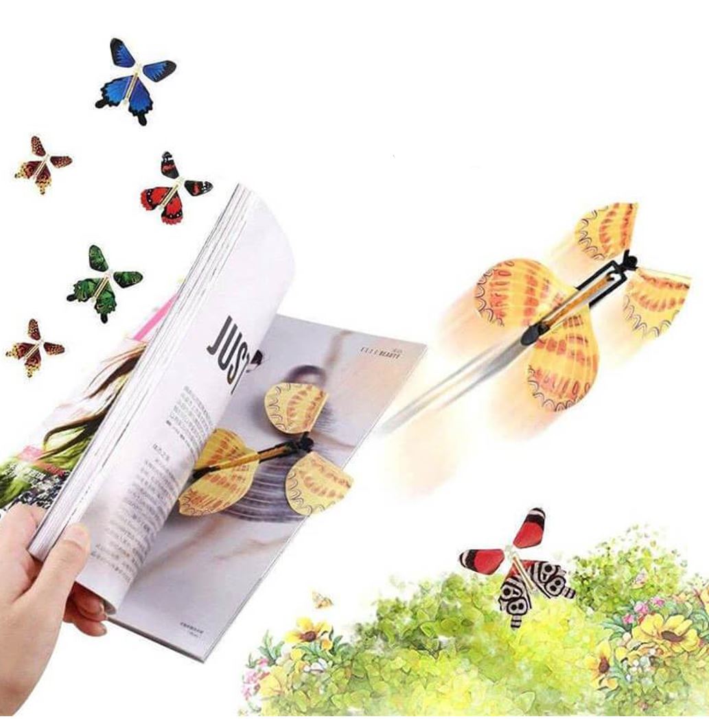 Magische Vliegende Vlinders