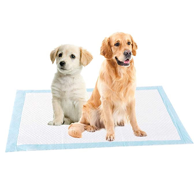 Honden plasmatjes