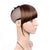 Clip-On pony