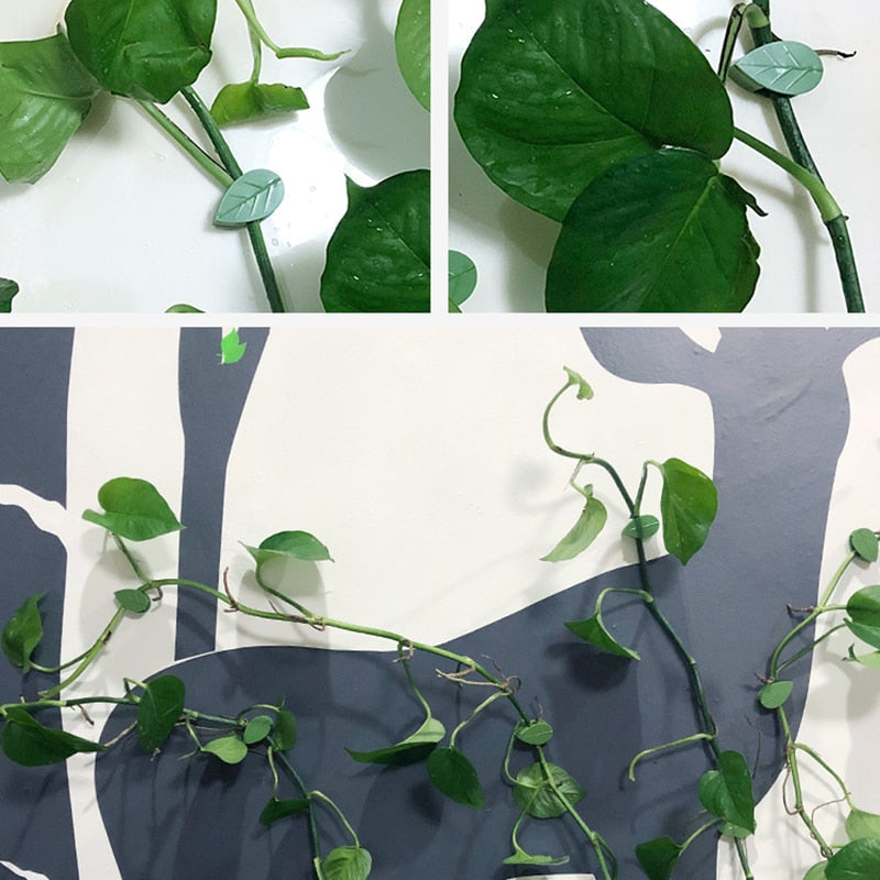 Plant Klimmend Voorwerp Bevestigingsclip