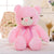 Leddy de teddy