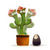 Dansende Cactus