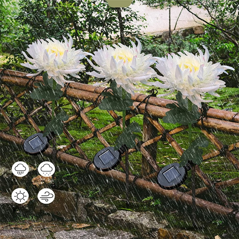Chrysanthemum LED Zonne Licht