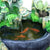 Feng Shui Geld & Rijkdom Aantrekkings Waterval