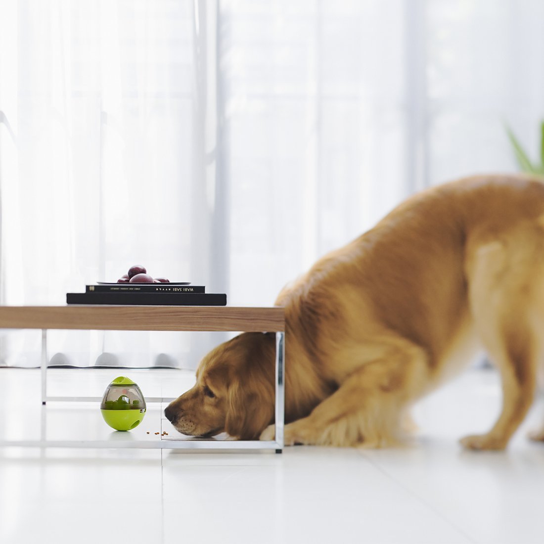 Interactieve Voederbal voor de Hond