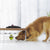Interactieve Voederbal voor de Hond