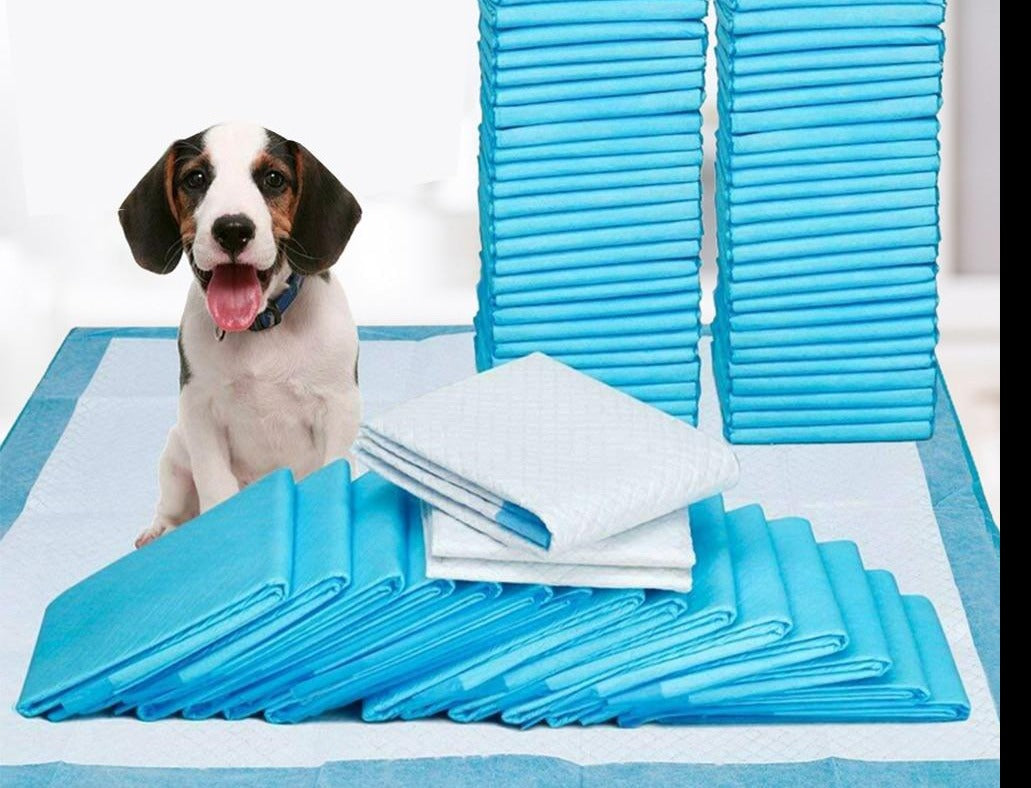 MagicPeePads - Ultieme zindelijkheidstraining tool voor het baasje en de hond!
