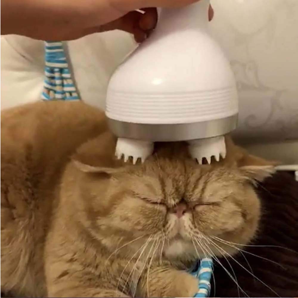 Elektrische Kattenkop Massager