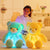 Leddy de teddy