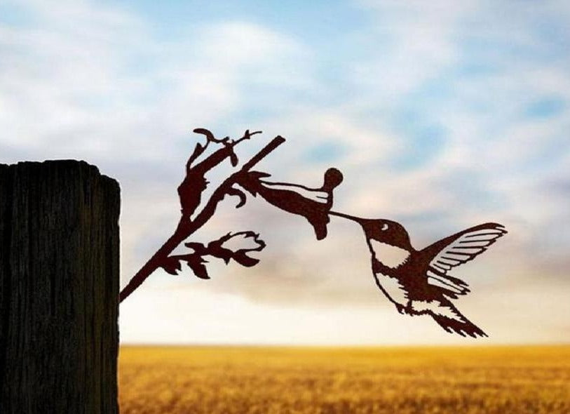 Metalen Kolibrie Kunst Werf