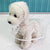 Hond Waterdichte Transparante Regenjas