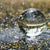 Crystal Ball Lens Photography Sphere
