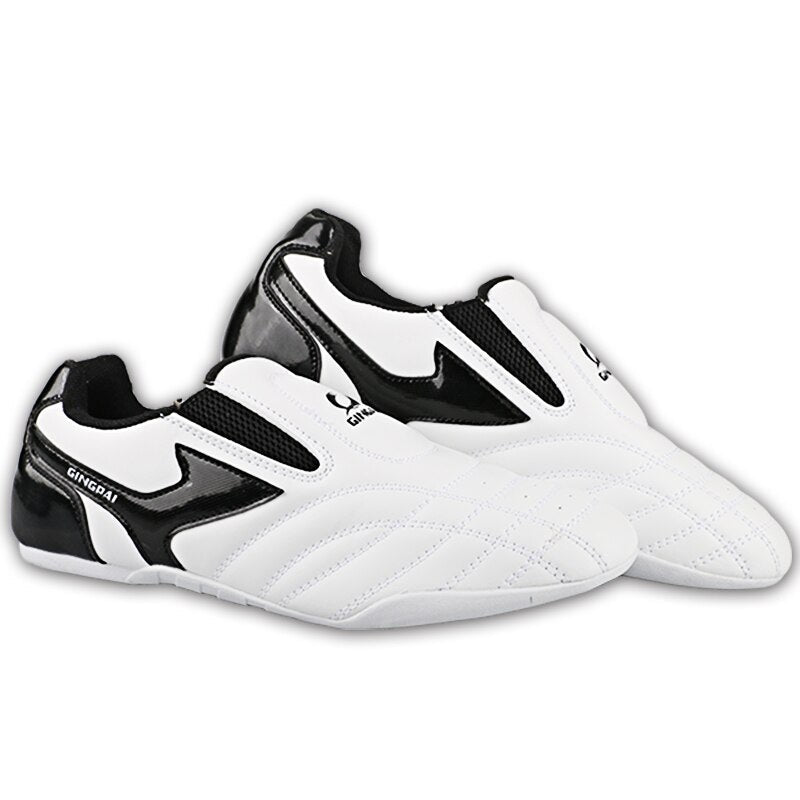 Taekwondo Schoenen