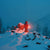 Nood LED Licht