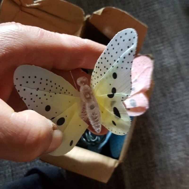 Vlinder LED Feeënlicht