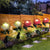Chrysanthemum LED Zonne Licht