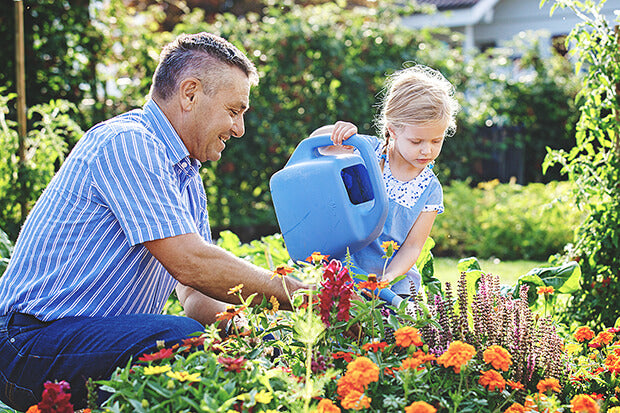 Oplossing voor plantenvoedingsmiddelen
