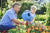 Oplossing voor plantenvoedingsmiddelen