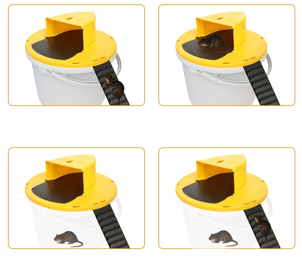 Auto Reset Muizenval