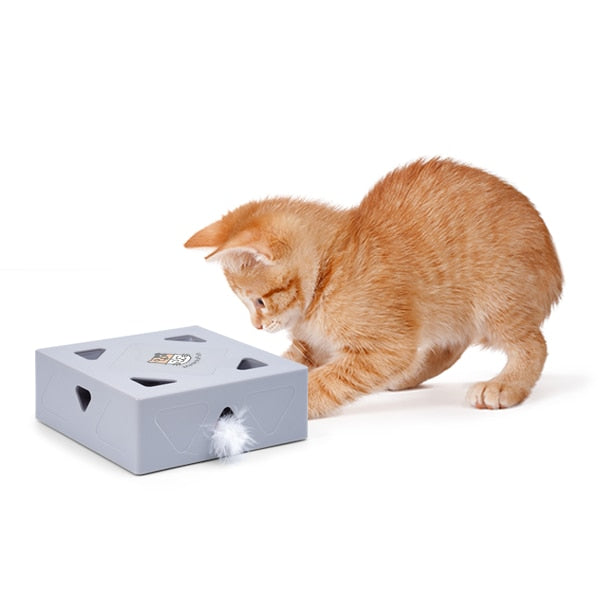 Automatisch Kattenspeelgoed Veer