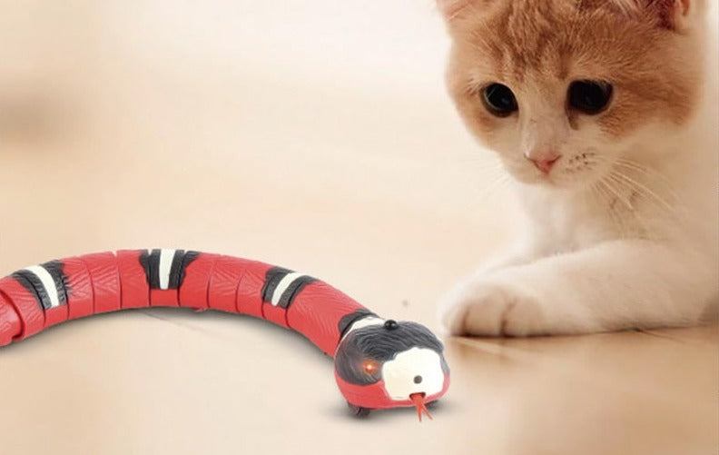 Cat's Smart Interactief Slangspeelgoed