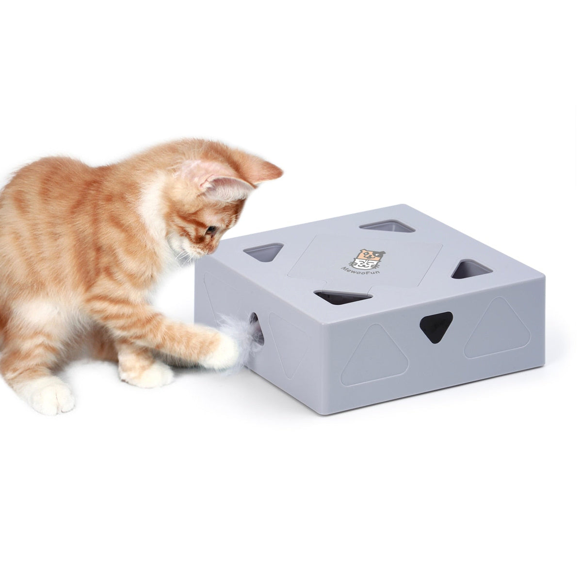 Automatisch Kattenspeelgoed Veer