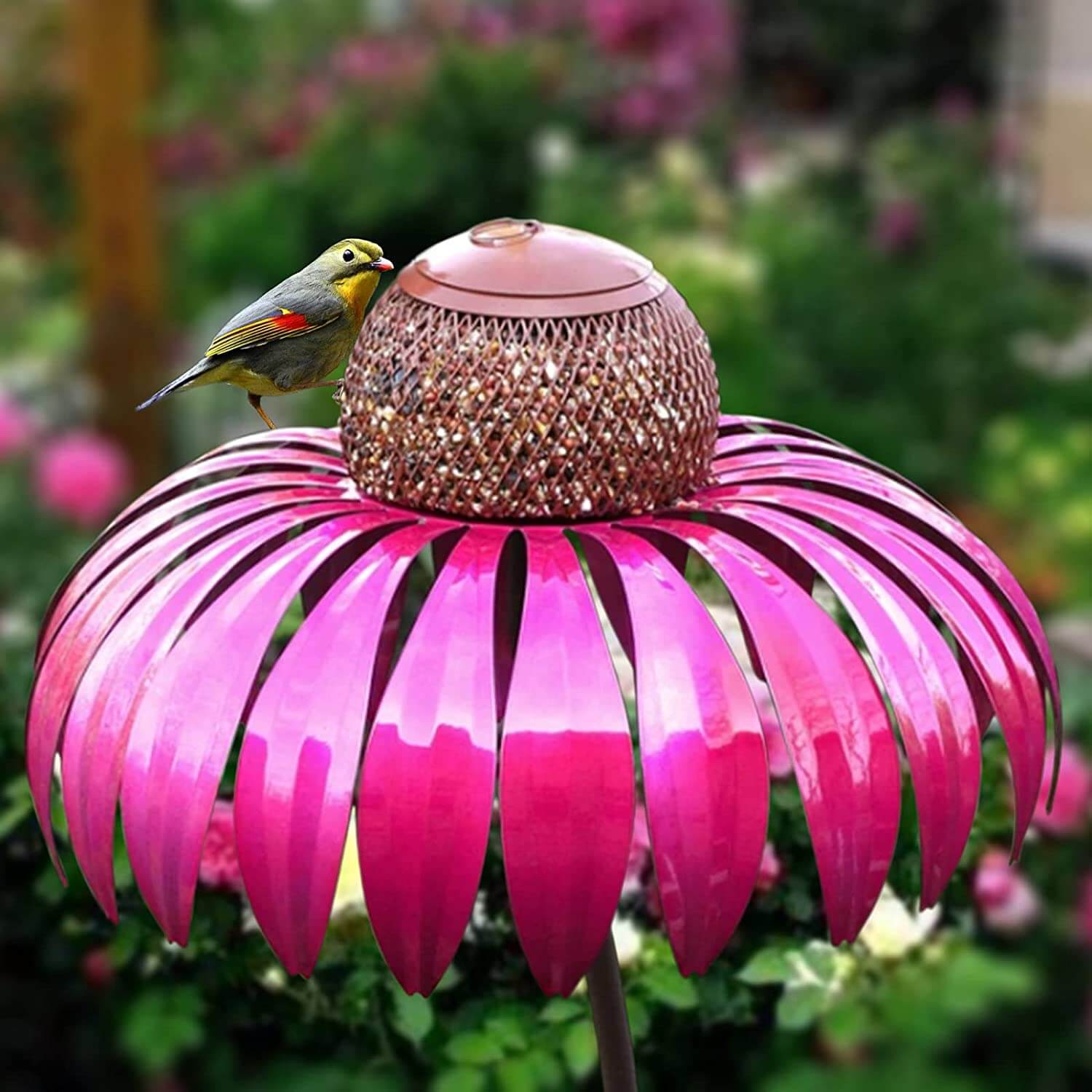Coneflower Vogel Voederhuisje