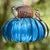 Coneflower Vogel Voederhuisje