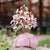 Feng Shui Bonsai Ornamenten