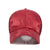Paardestaart Baseball Cap