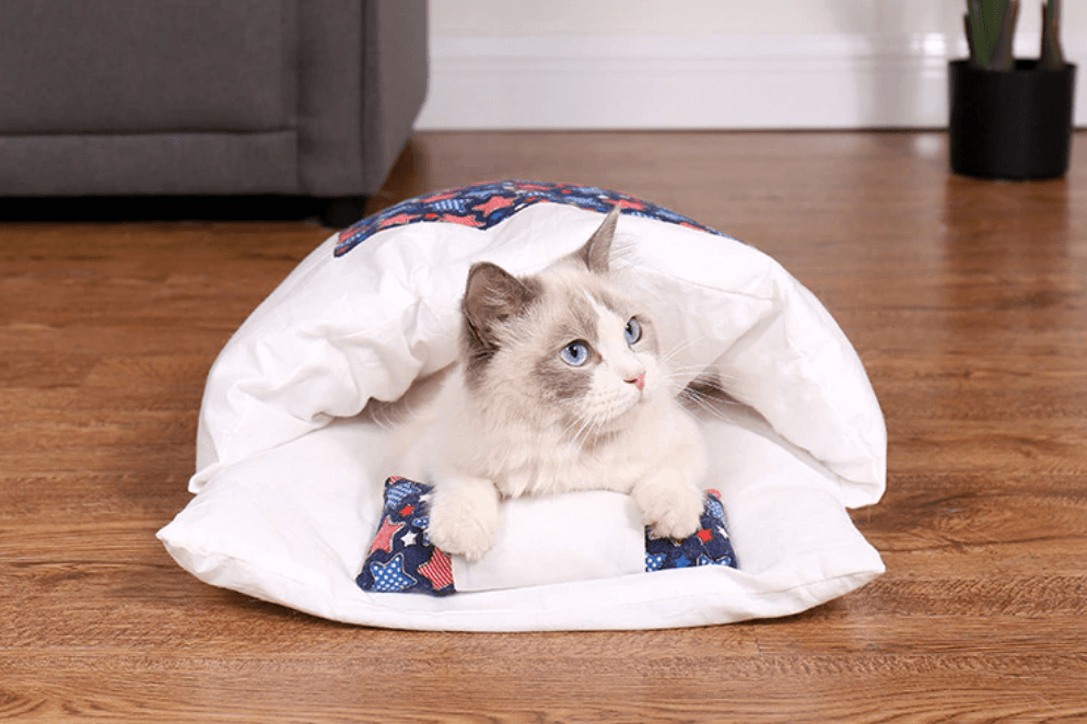 Kattenslaapzak