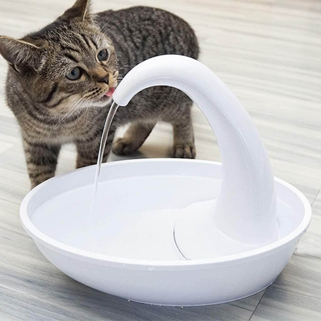 Automatische drinkfontein voor katten