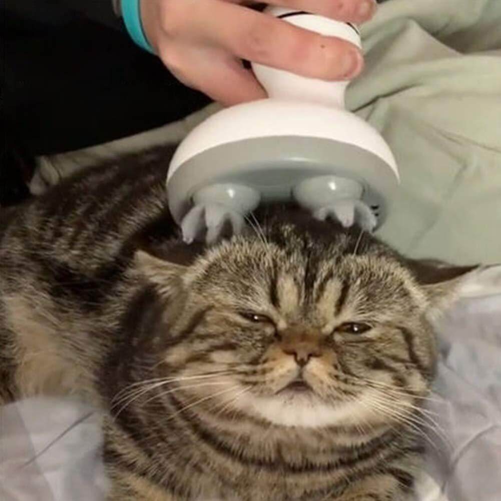 Elektrische Kattenkop Massager