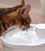Smart Sensor Kattenwaterfontein