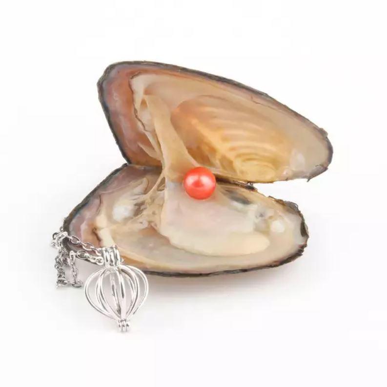 Natuurlijke Oyster Parel Ketting