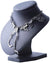 Tyrannosaurus Rex Skelet Ketting