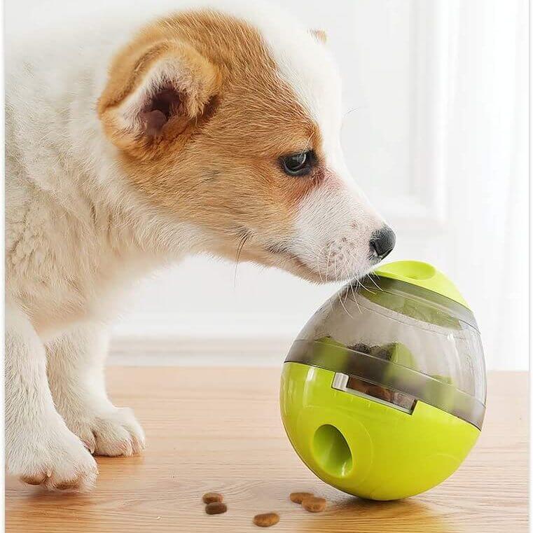 Interactieve Voederbal voor de Hond