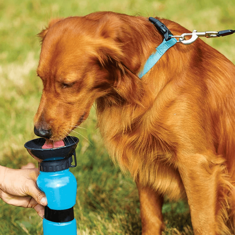 Draagbare Knijp Hond Waterfles